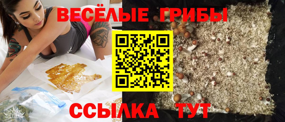Псилоцибиновые грибы Psilocybine cubensis Усолье-Сибирское