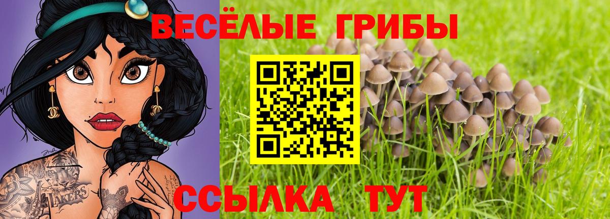 Псилоцибиновые грибы мицелий  Вход с VPN  Галлюциногенные грибы Cubensis  Усолье-Сибирское 